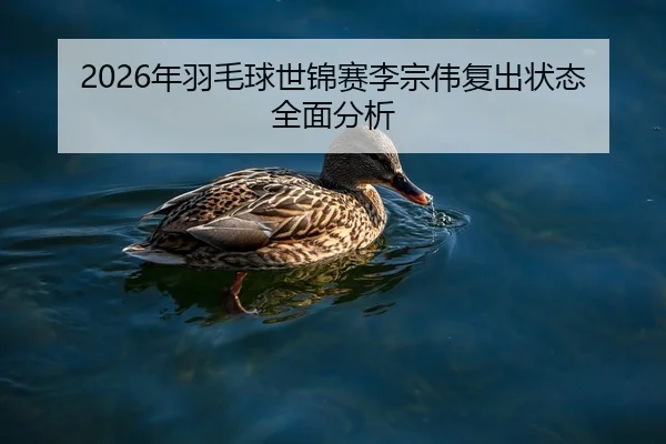 2026年羽毛球世锦赛李宗伟复出状态全面分析