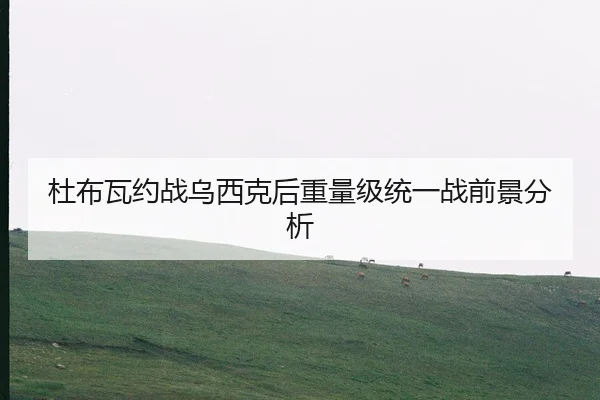 du-bu-wa-yue-zhan-wu-xi-ke-hou-zhong-liang-ji-tong-yi-zhan-qian-jing-fen-xi-2-824.jpg
