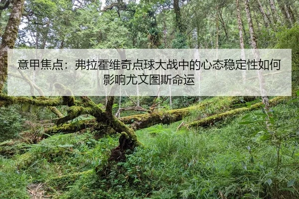 yi-jia-jiao-dian-fu-la-huo-wei-qi-dian-qiu-da-zhan-zhong-de-xin-tai-wen-ding-xing-ru-he-ying-xiang-you-wen-tu-si-ming-2-904.jpg