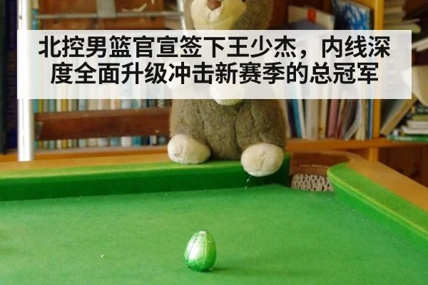 北控男篮官宣签下王少杰,内线深度全面升级冲击新赛季的总冠军